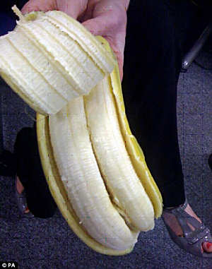 Twin bananas contained within one banana skin.