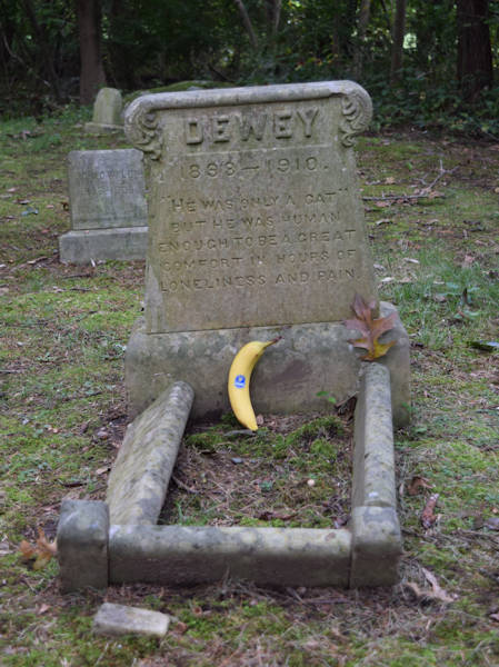 Dewey the Cat gravesite