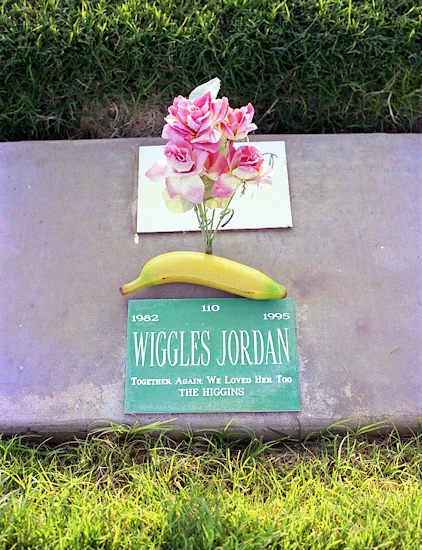 Wiggles Jordan grave