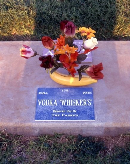 Vodka Whiskers grave