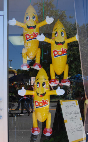 Bananas in the window at the 2013 Banana Festival, Fulton KY - S. Fulton, TN