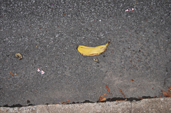 A dead banana, murdered with no pity at the 2013 Banana Festival, Fulton KY - S. Fulton TN